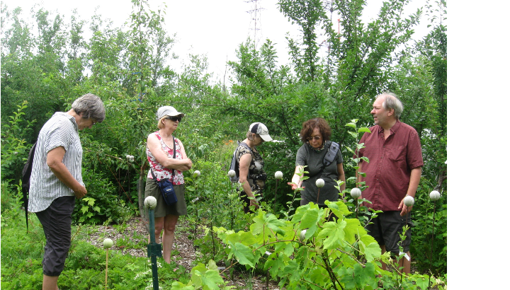 Visite estivale du jardin du Collectif21
